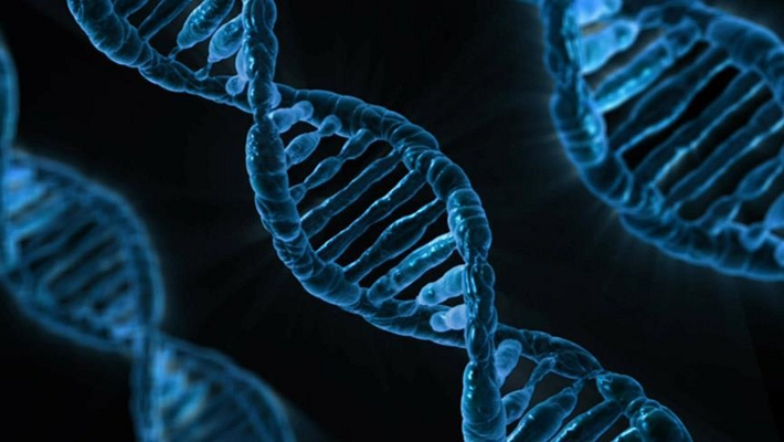 DeepMind, yapay zeka kullanarak DNA'da hastalığa yol açan genleri başarıyla tanımladı
