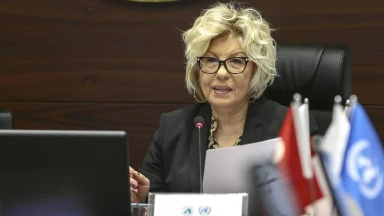 Kanıt dizisinin anlatıcısı Sevil Atasoy'a BM'den görev