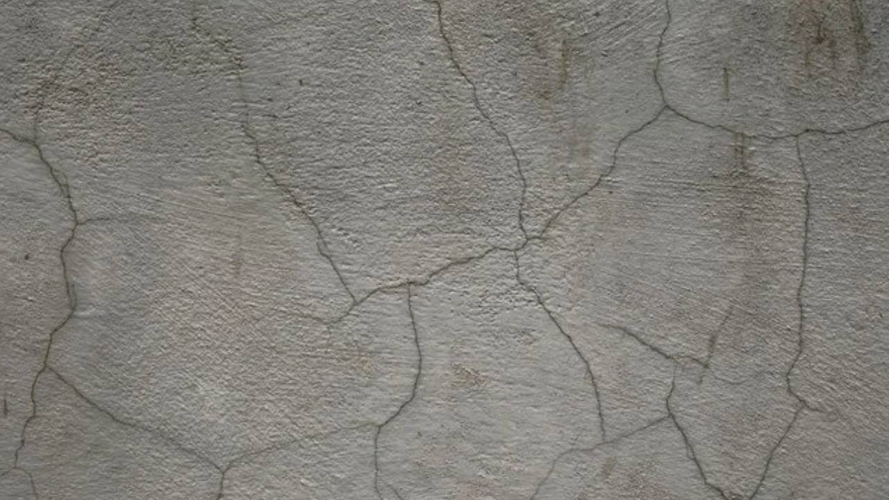 Canlı beton icat edildi: Çatlakları kendi kendine onarıyor