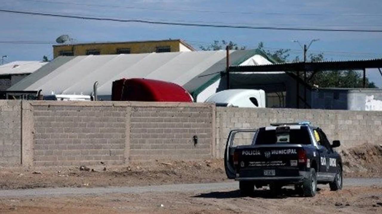 Krematoryumda mumyalanmış 381 ceset bulundu