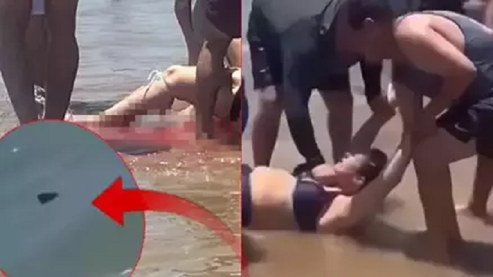 Halk plajında köpekbalığı saldırısı: 4 yaralı